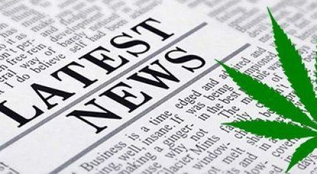 סנופ דוג בברגר קינג – החדשות בירוק: גרמניה בפנים, וודי הארלסון בחוץ