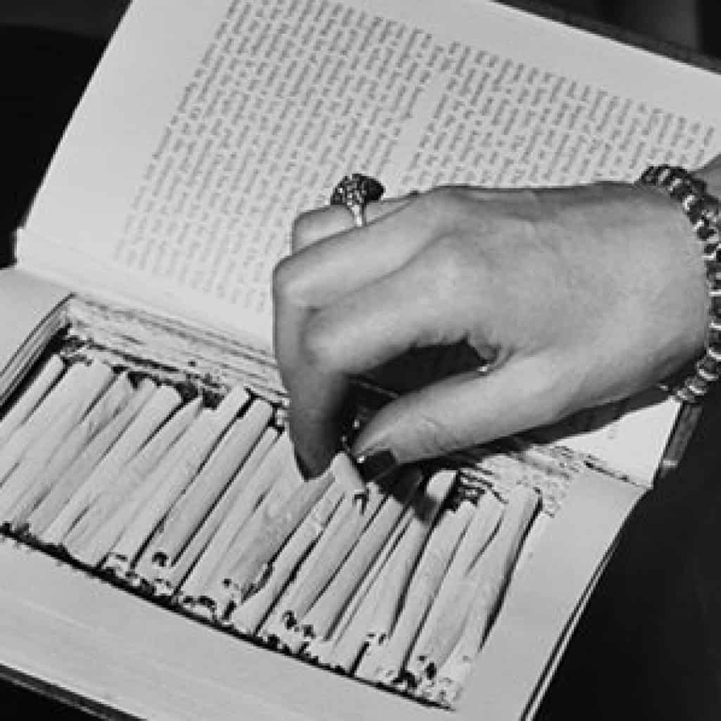 להחביא את הפרח