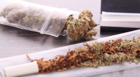 ניקוטין וקנאביס – למה לא כדאי לכם להוסיף טבק לג’וינט?
