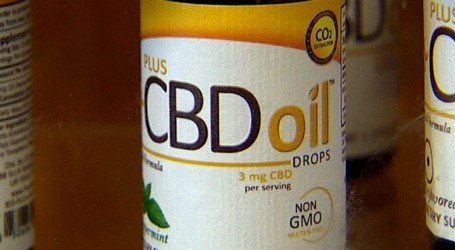 ארגון הבריאות העולמי מכריז: CBD מסייע לטיפול ב-17 מחלות ומצבים רפואיים