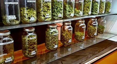 הדלתות נפתחות – החלו מכירות הקנאביס החוקי בלוס אנג’לס