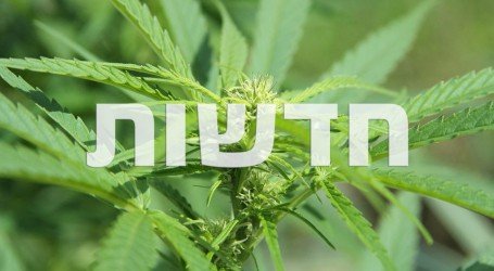 ירוק בעולם: נברסקה ואוקלהומה נגד קולורדו, דרום אפריקה מרססת שדות מהאוויר