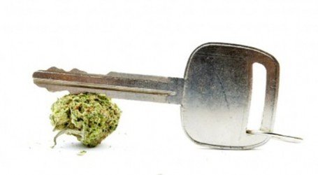 קנאביס, אלכוהול ונהיגה – איך זה משפיע?