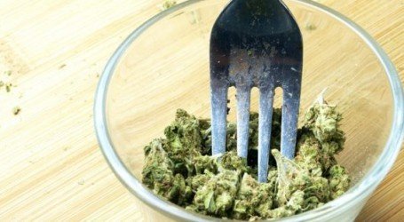 ארה”ב: המשטרה תפצה צעיר ב-100 אלף דולר לאחר שאולץ לאכול קנאביס