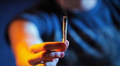 כמה עוד מחקרים אתה צריך ארדן?