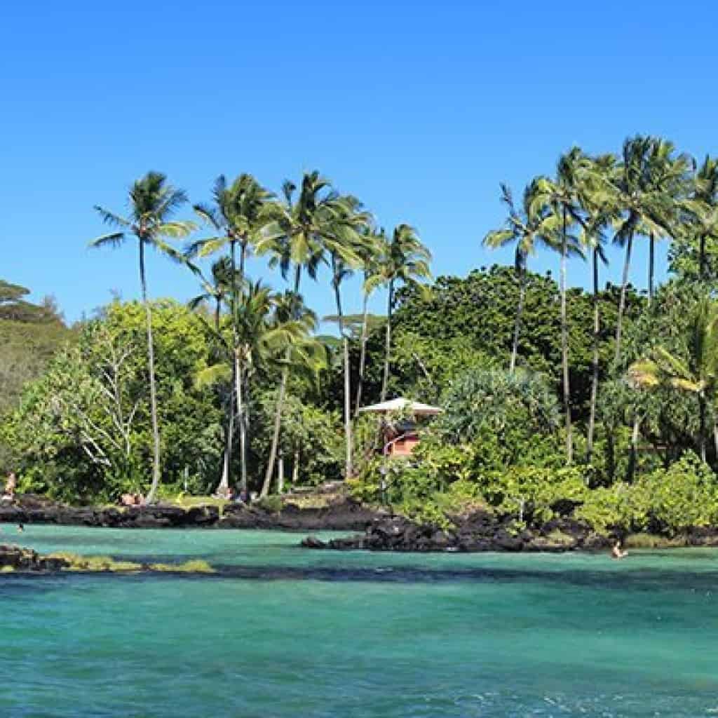 קנאביס בהוואי