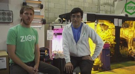 משנק דיגיטלי Vs משנק אנלוגי