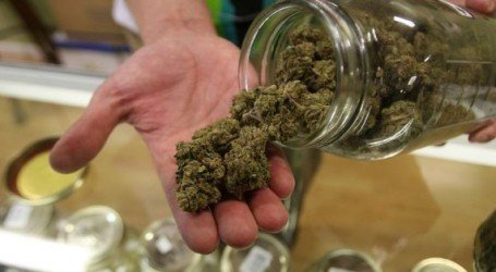 בקרוב בקנדה: ‘טלגראס’ בחסות הממשלה