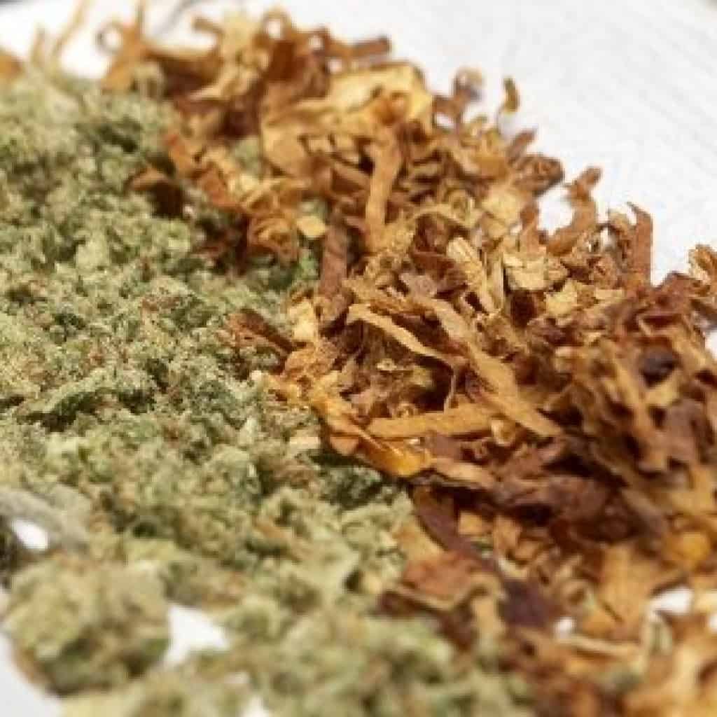 קנאביס וטבק