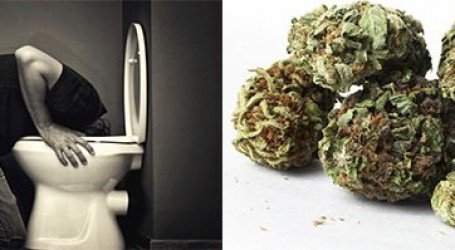 כיצד קנאביס עוזר לחמרמורת