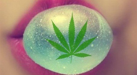 מסטיק קנאביס – תלעס משהו, תהיה בריא