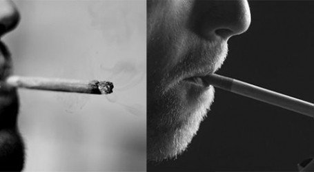 קנאביס וטבק – שילוב של סיגריות וקנאביס, איך זה משפיע על המוח שלכם?