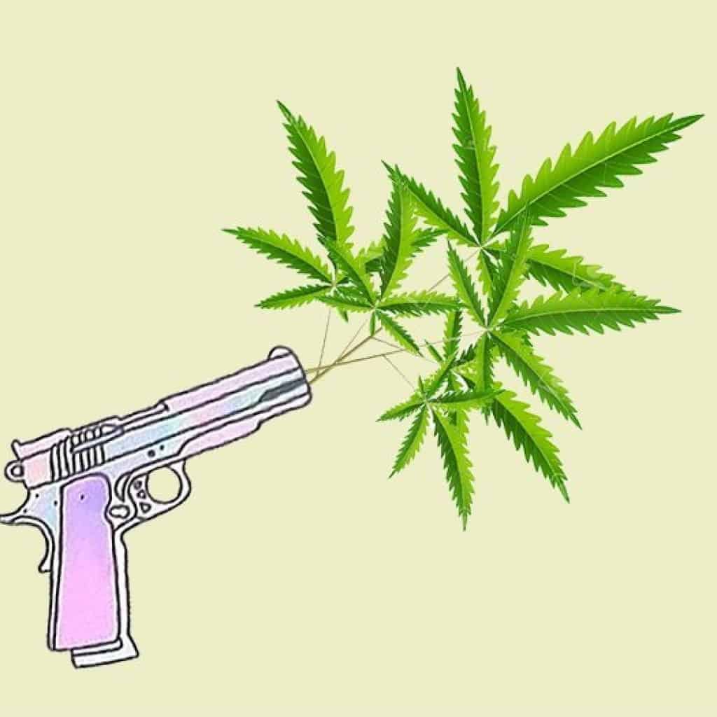 צריכת קנאביס