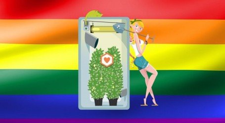 גאווה וקנאביס – מפסיקים לאהוב בסתר, מפסיקים לעשן בסתר