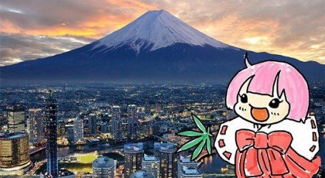 אסמיקו – קמע קנאביס של יפן