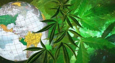 מתארגנים מסביב לעולם – מחירי הקנאביס במדינות שונות