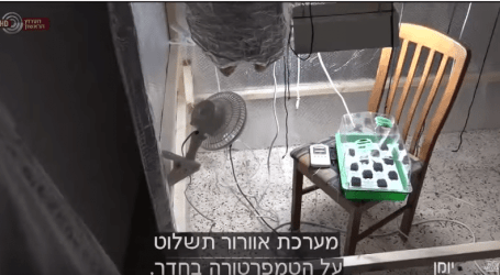 יומן עם אילה חסון – לגליזציה בישראל – האם ישראל בדרך ללגליזציה של סמים קלים?