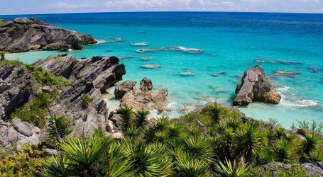 איי ברמודה: הסנאט אישר אי הפללה של קנאביס לשימוש עצמי