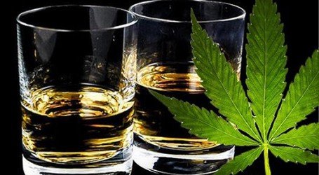 משקאות עם קנאביס – תעשיית האלכוהול רוצה קנאביס