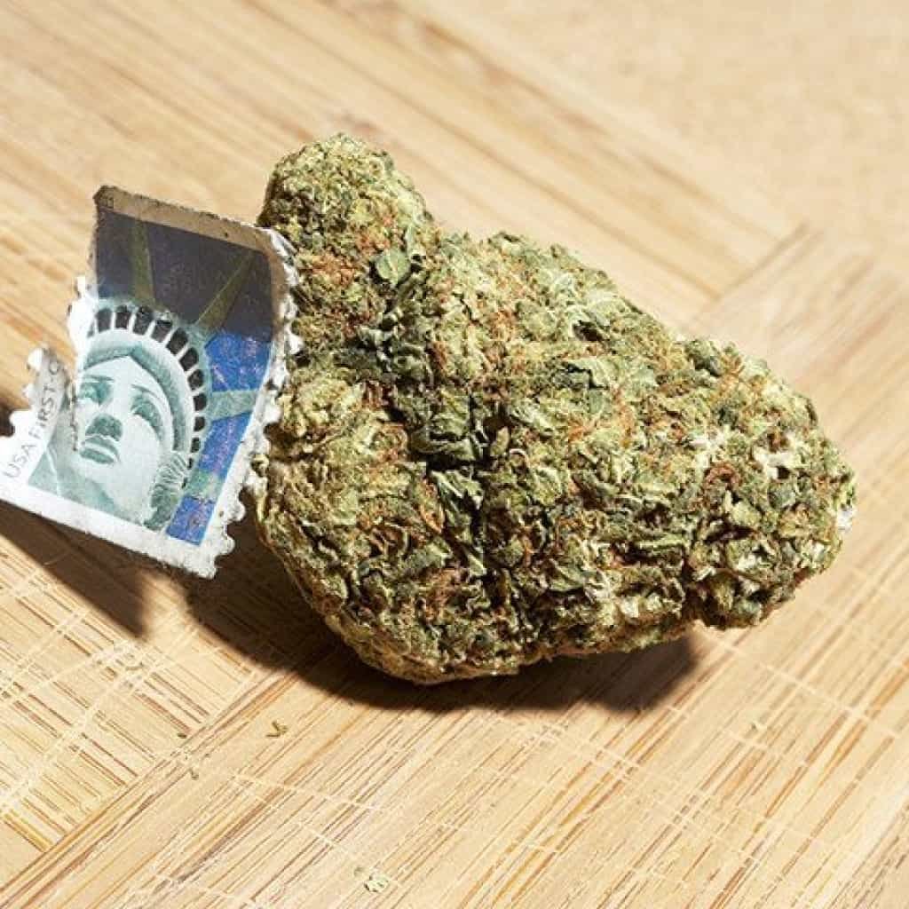 מבריחי קנאביס