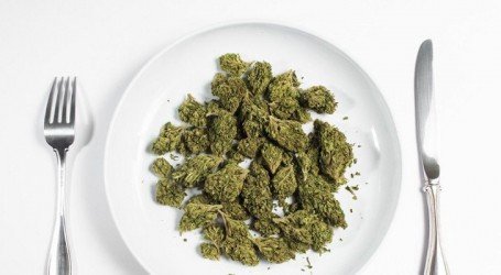 מבשלים ירוק – 3 מוצרי קנאביס למטבח שאתם חייבים להכיר