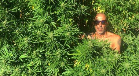 פרנקו – הספד מחבר