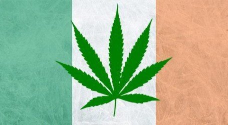 קנאביס באירלנד – המסע של ורה