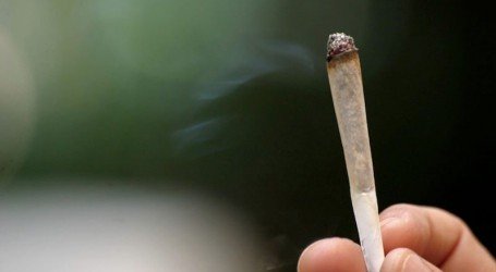 אי הפללה – האם ההכרזה של ארדן תפגע בצרכני הקנאביס?