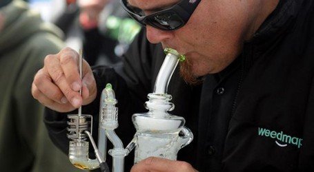 דאב – גראס 24 קראט