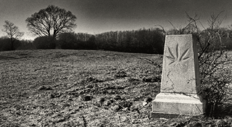 אל תחפשו שם כיוון – 5 מדינות עם חוקי קנאביס שיכולים להרוג אתכם