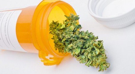 עוד רפורמה תקועה: הייצוא צפוי להתחיל רק לקראת 2019