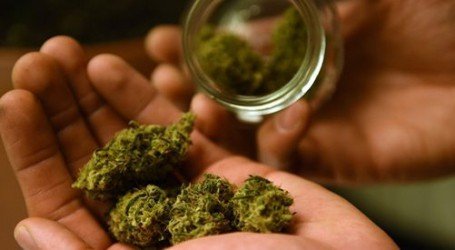 השפעת הקנאביס – כל אחד והסאטלה שלו