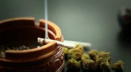 סיכום הדיון בוועדה לנזקי הסמים והאלכוהול – כל הפרטים והשינויים החדשים