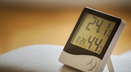 לחות וקנאביס כיצד להתמודד עם לחות בחלל גידול קנאביס