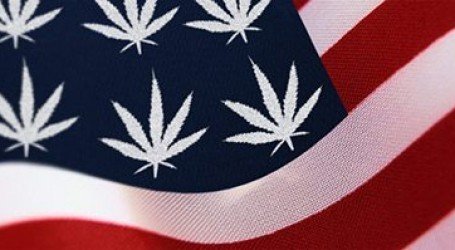 האם אמריקה בדרך לשינוי מדיניות הקנאביס?