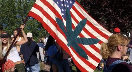 סקר המתנגדים ללגליזציה מצא: 83% מהציבור בעד שינוי חוקי הקנאביס