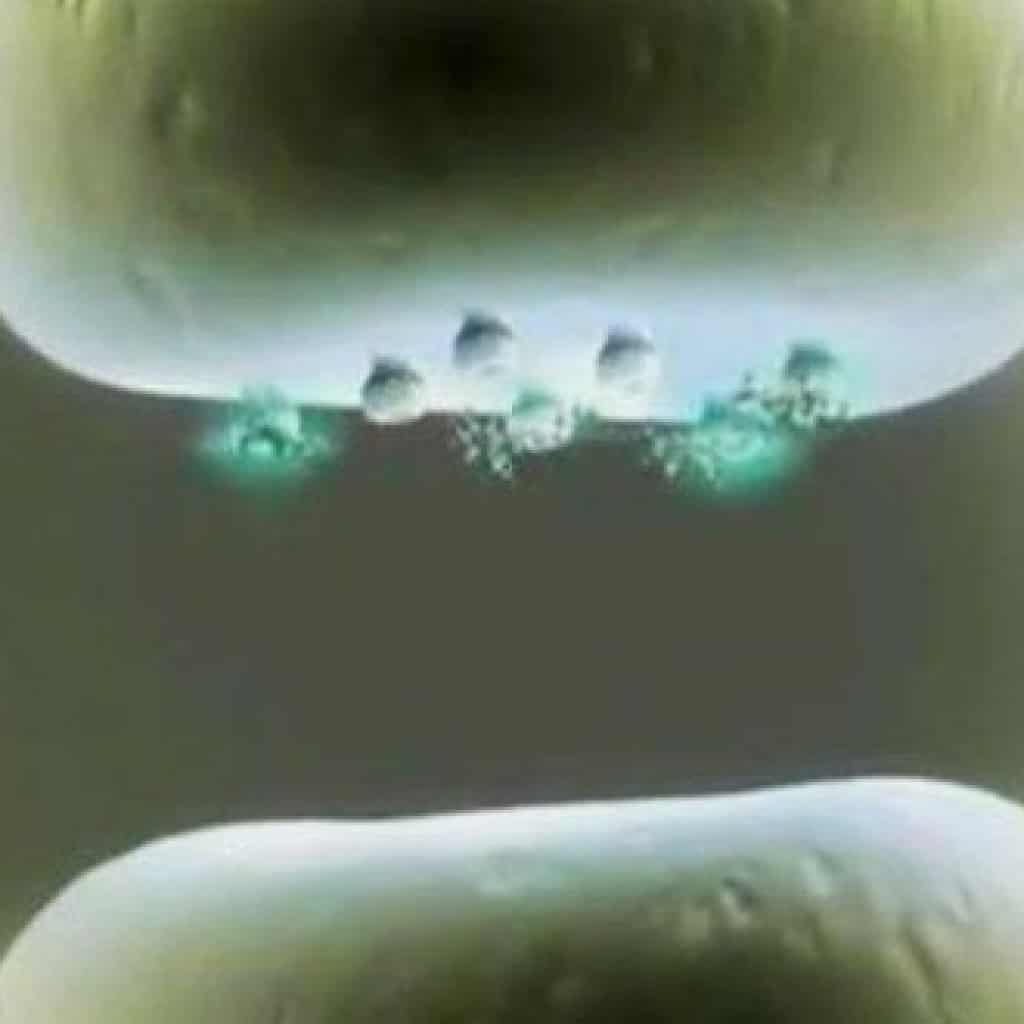 קנאביס ופוסט טראומה