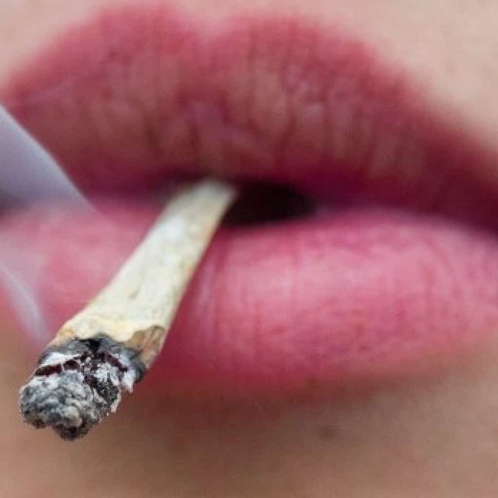 קנאביס בהריון