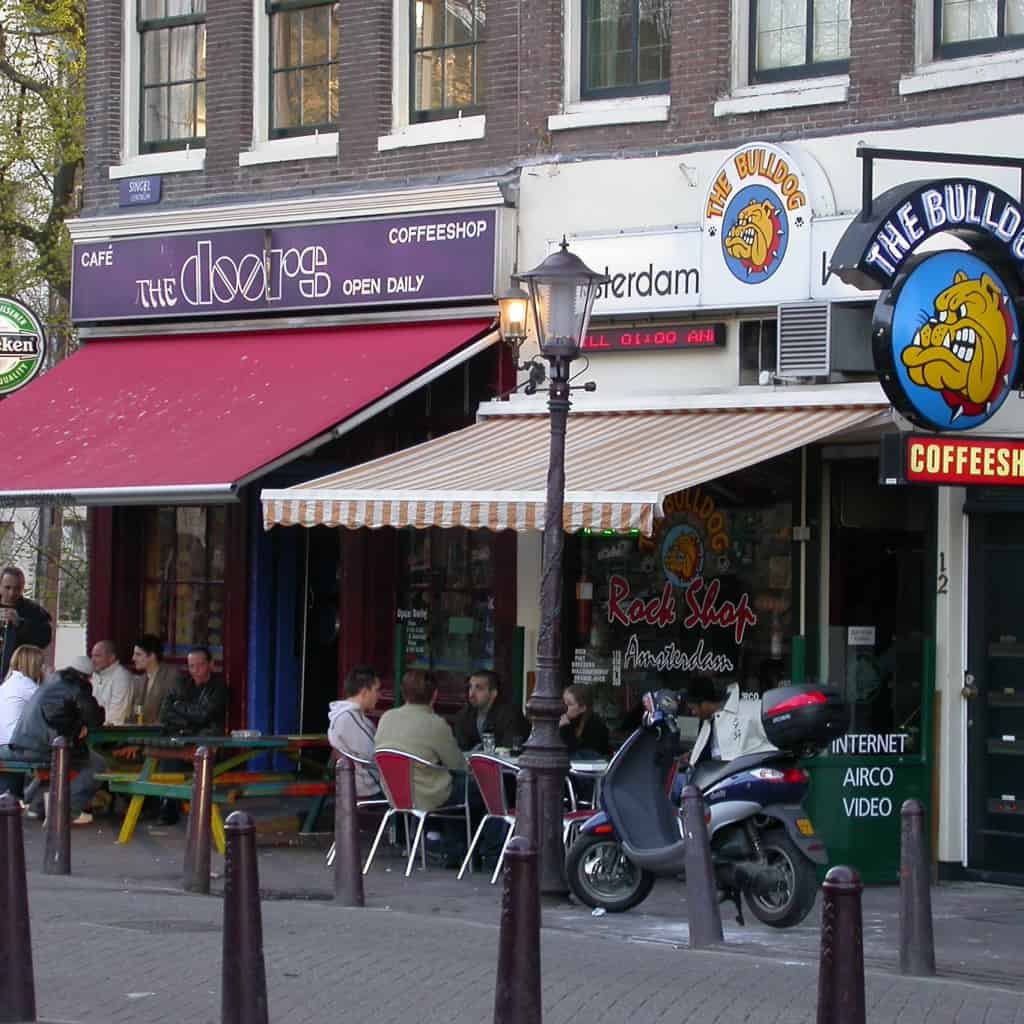 קנאביס והולנד