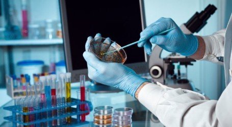 מה זה? וואלה, לא יודע! חשוב שתקראו – חיפוש אישי