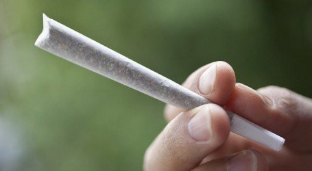 הכימיה והמדע שמאחורי הסיגריות המגולגלות – כל מה שרציתם לדעת על ה’ג’וינט’ שלכם