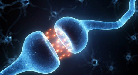 הגן בגוף שגורם לנו אושר – למה אנשים מתמסטלים באופן טבעי?