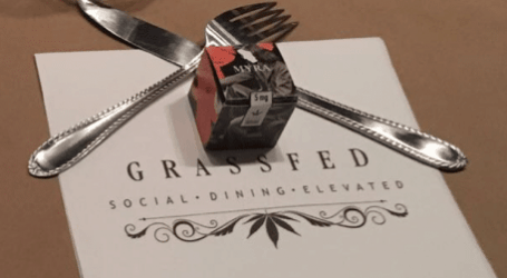 חדש בסצנת האוכל בלוס אנג’לס: חברה ישראלית מפיקה אירועי אווירה, קנאביס ואוכל