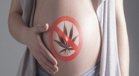 הריון וקנאביס – האם קנאביס טוב להריון?