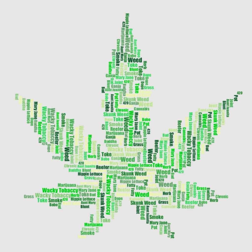 כינויים שונים לצמח הקנאביס