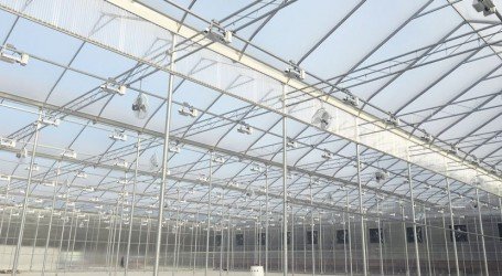 תיקון עולם מקימה מתקני גידול באוסטרליה