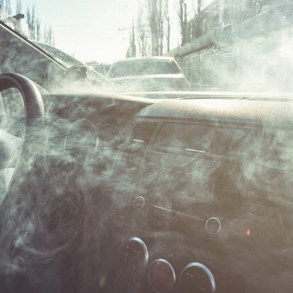 קנאביס הוא חוקי