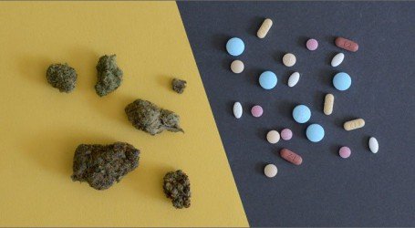 לגליזציה בישראל – למה אין בישראל לגליזציה מלאה? תשאלו את חברת טבע