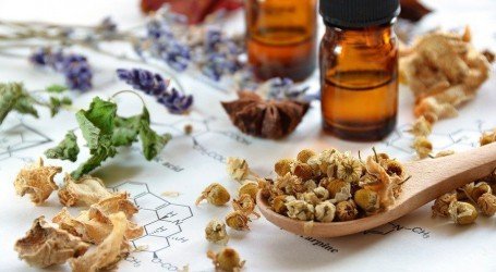 צוות של חוקרים מקנדה: חשפנו עוד 30 טרפנים שאחראים על הריח והארומה של פרחי הקנאביס