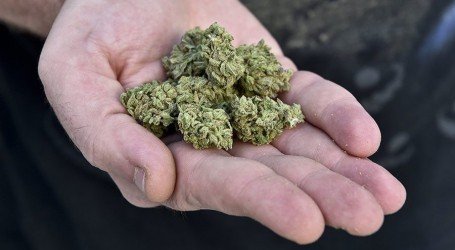 6 מקומות טובים להחביא את הפרחים שלכם